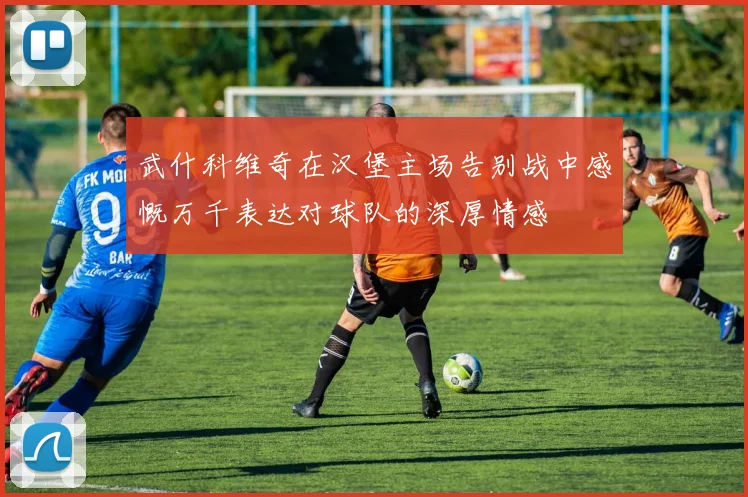 武什科维奇在汉堡主场告别战中感慨万千表达对球队的深厚情感
