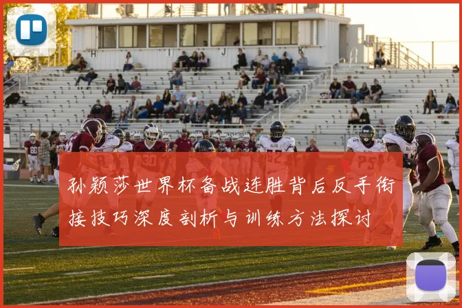 孙颖莎世界杯备战连胜背后反手衔接技巧深度剖析与训练方法探讨