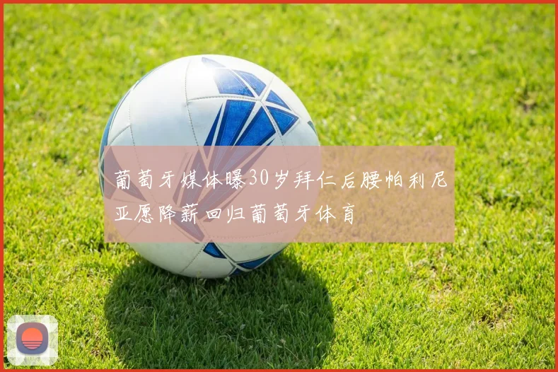 葡萄牙媒体曝30岁拜仁后腰帕利尼亚愿降薪回归葡萄牙体育