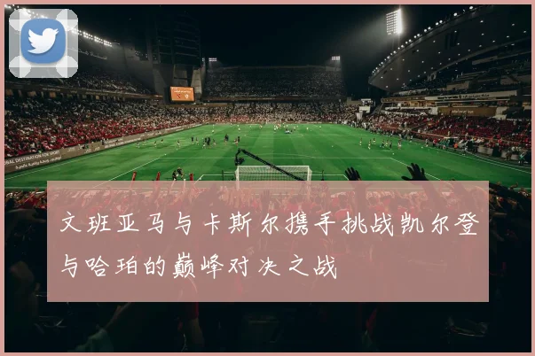 文班亚马与卡斯尔携手挑战凯尔登与哈珀的巅峰对决之战